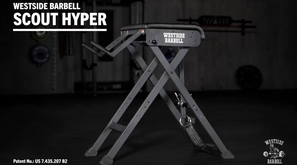 WESTSIDE SCOUT HYPER ROGUE