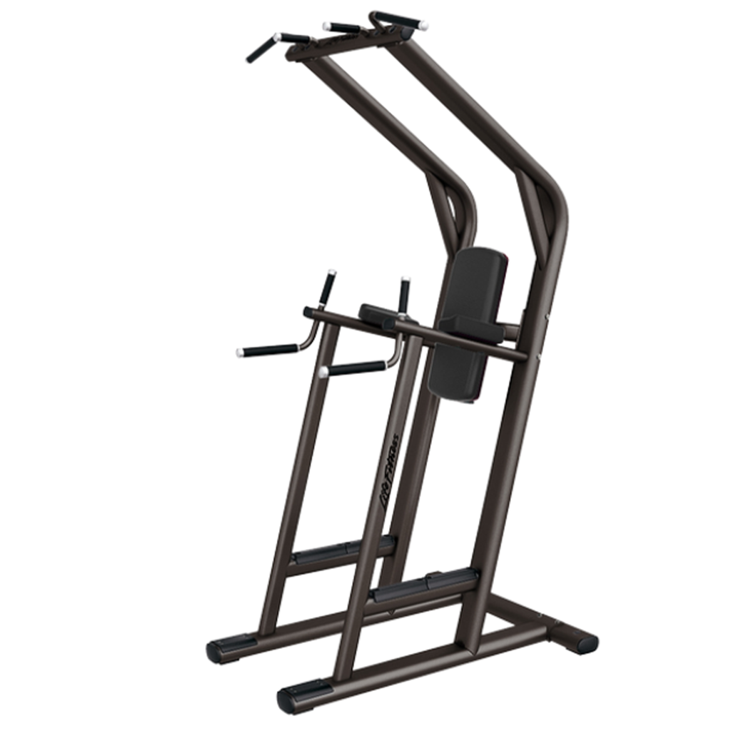 [953] CHIN/DIP/ELEVACIÓN DE PIERNAS SIGNATURE LIFE FITNESS