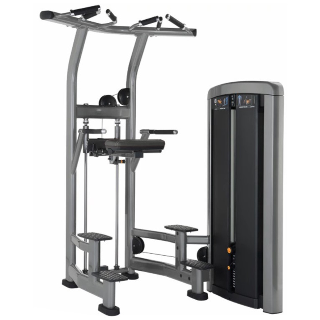 ASSIST DIP CHIN INSIGNIA LIFE FITNESS