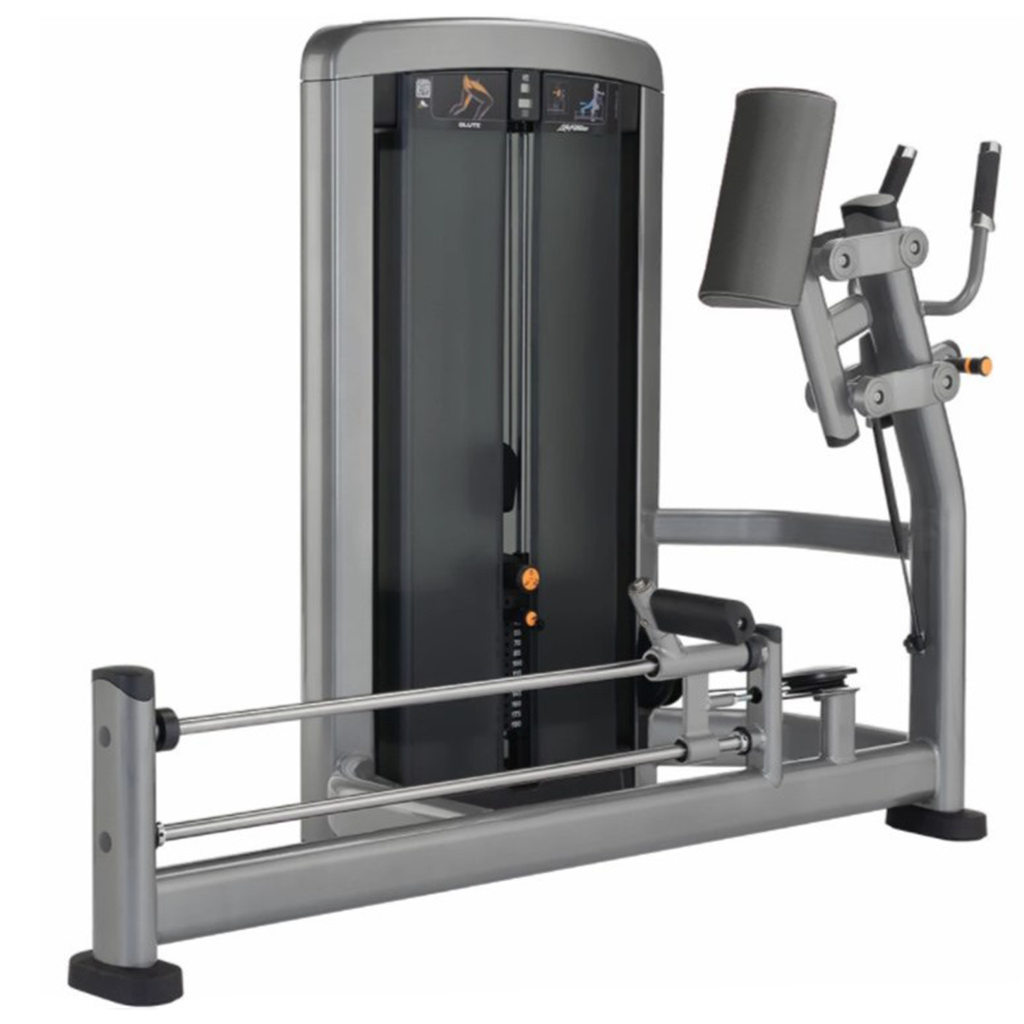 [1048] GLÚTEOS INSIGNIA LIFE FITNESS