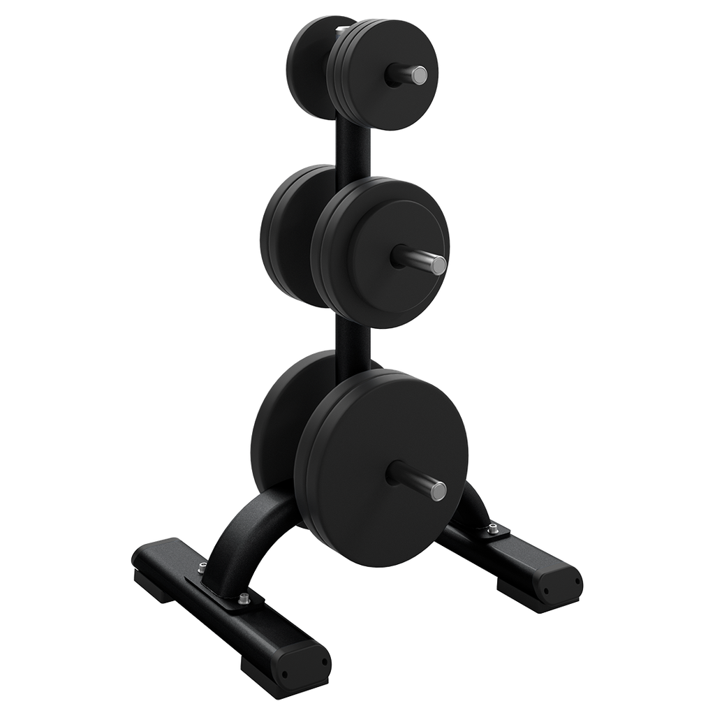 [1467] DBR0817 WEIGHT PLATE TREE PRECOR