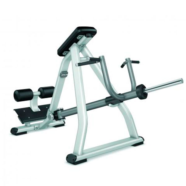 DPL0311 INCLINE LEVER ROW PRECOR