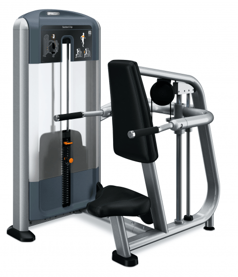 [1508] DSL0215 SEATED DIP PRECOR