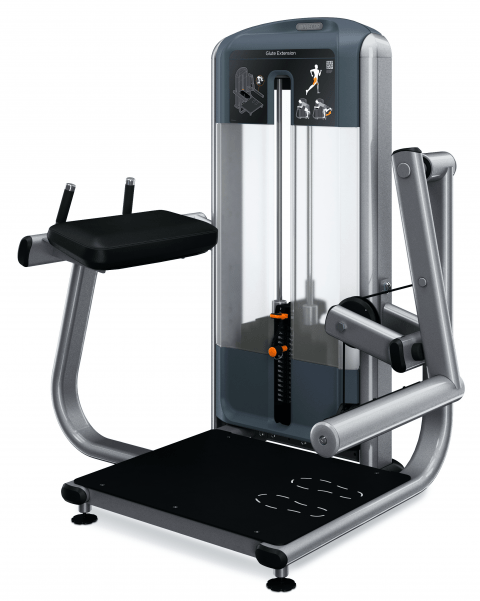 [1524] DSL0618 EXTENSIÓN DE GLÚTEOS PRECOR