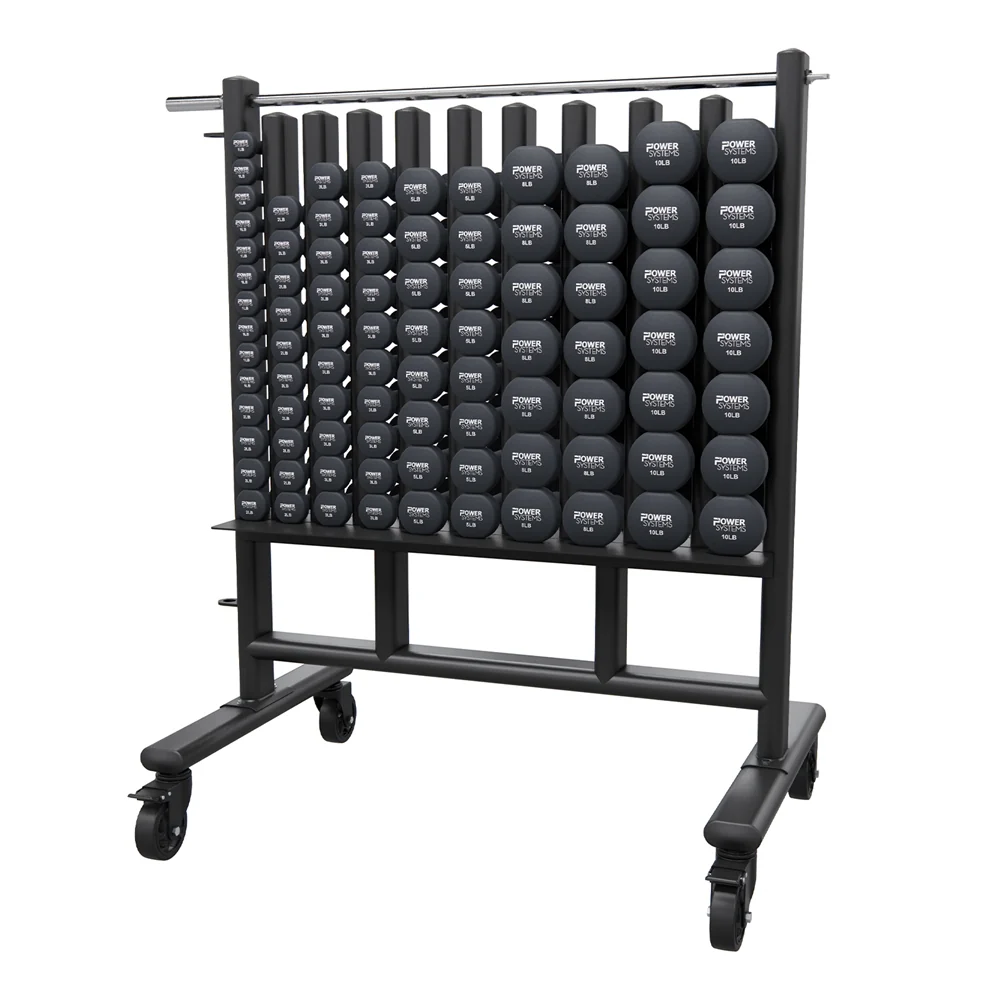 [1749] PREMIUM DUMBBELL STORAGE RACK POWER SYSTEMS