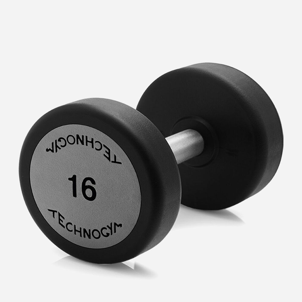 [1931] DUMBBELL TECHNOGYM