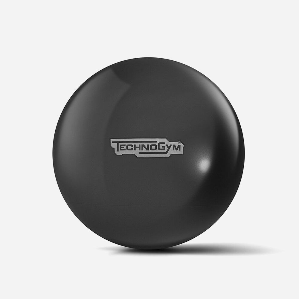 [1951] WELLNESS BALL TECHNOGYM