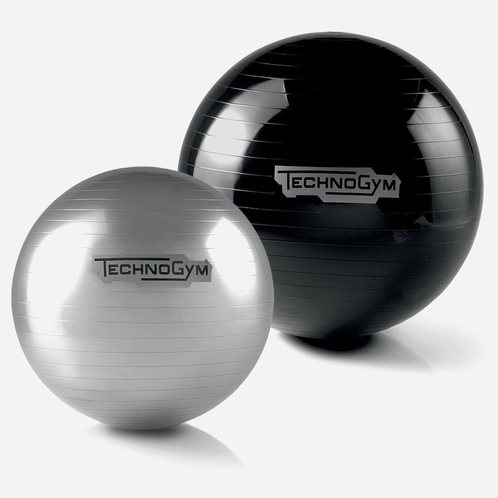 [1965] WELLNESS BALL TRAINING TECHNOGYM