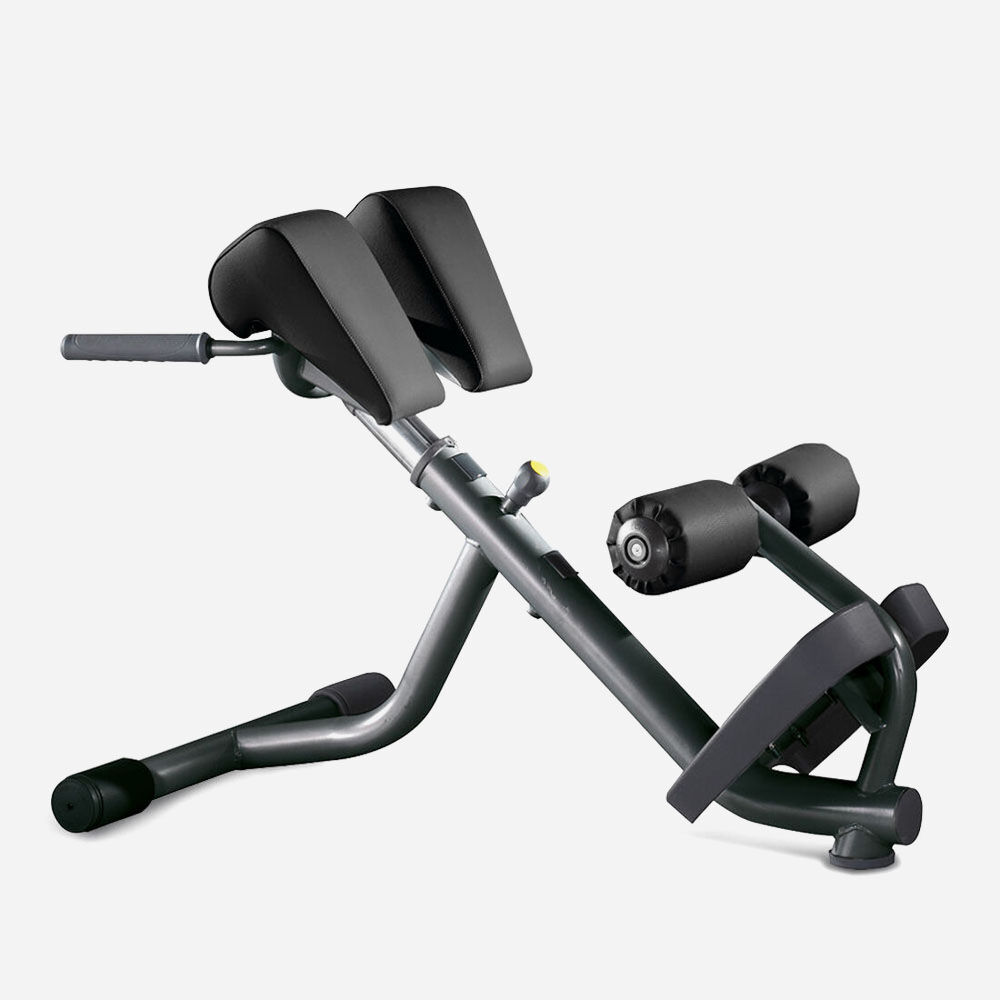 LOWER BACK BENCH TECHNOGYM