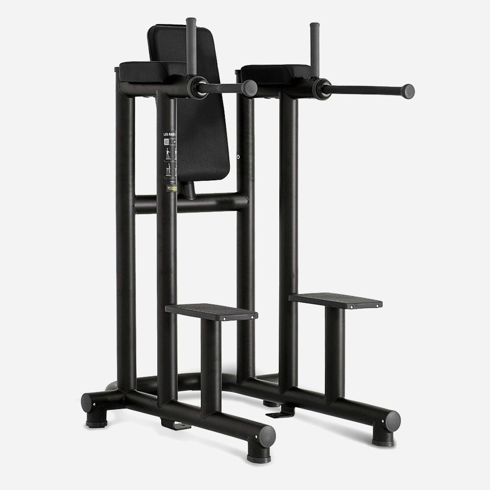 [2009] LEG RAISE DIP TECHNOGYM