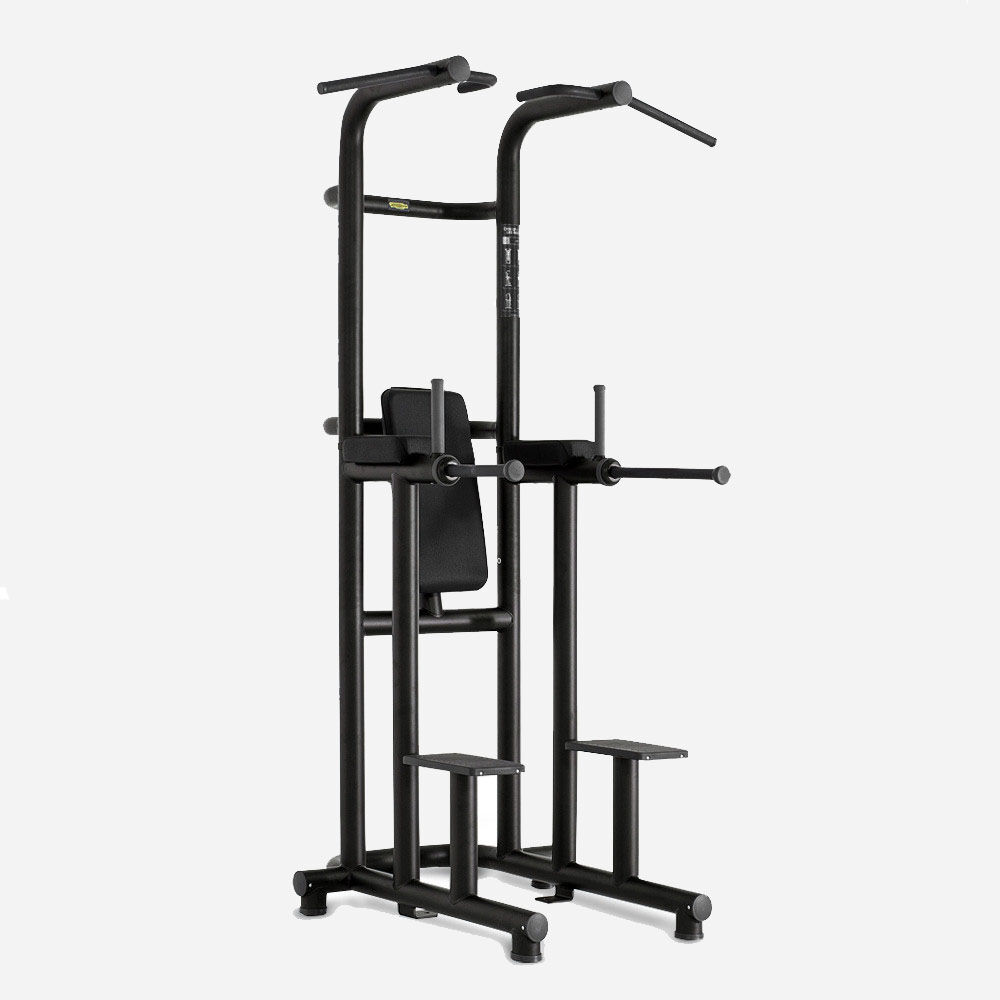 CHIN UP / DIP / LEG RAISE TECHNOGYM