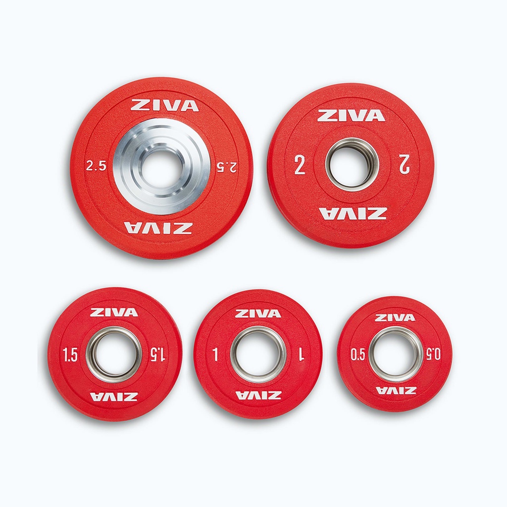 [2245] JUEGO DE DISCOS FRACCIONADOS DE URETANO ZIVA