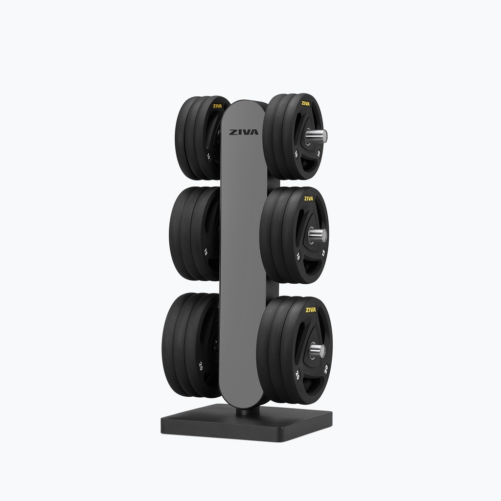 [2420] EX DISC STORAGE STATION 2.0 ZIVA