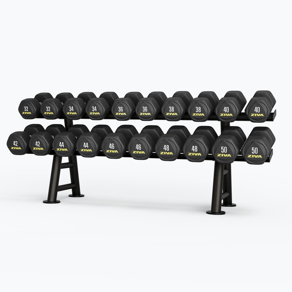 [2446] ST 2-TIER, 10-PAIR HEXAGON DUMBBELL RACK ZIVA
