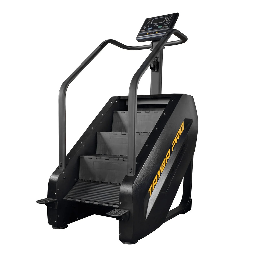 [12] ESCALERA INFINITA CON MONITOR TAYGA